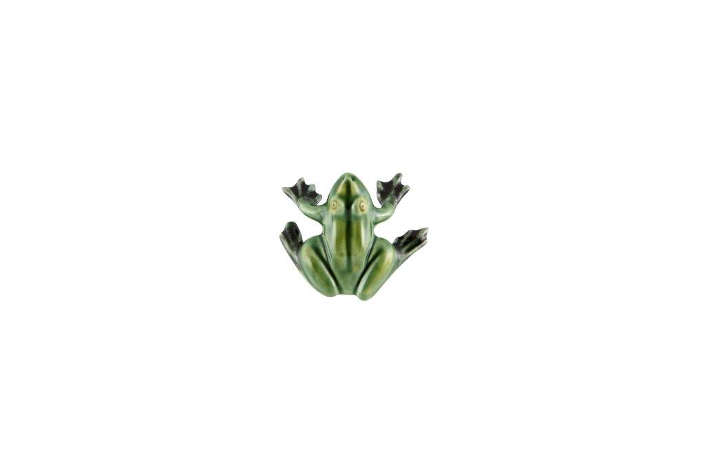 Small Magnet Frog